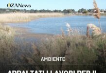 Appaltati i lavori per il Parco Navigabile di Ugento