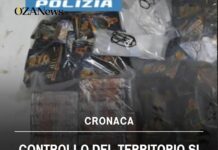 Controllo del territorio si trasforma in maxi sequestro di droga