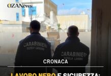 Lavoro nero e sicurezza: sanzioni per oltre 280mila euro