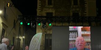 Oliveti sradicati e agricoltori ridotti alla fame: l’allarme di Italia Olivicola e CIA sulle violenze in Palestina