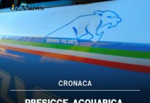 Presicce-Acquarica, sparatorie legate alla droga: controlli della Polizia. Durante una perquisizione muore un uomo