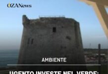 Ugento investe nel verde: nuovi alberi e arbusti per Torre Mozza e Torre San Giovanni