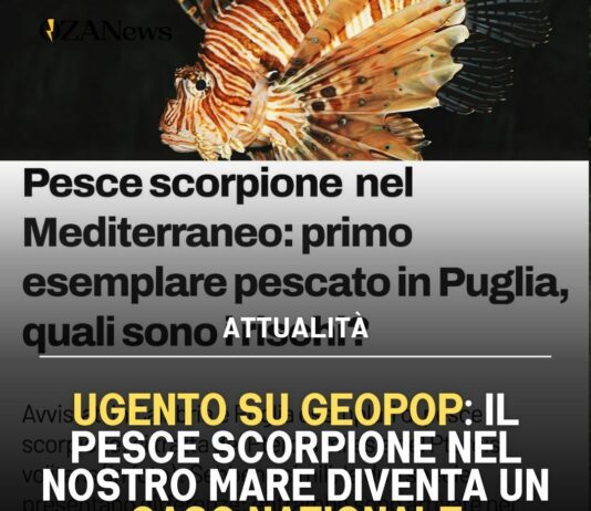 Ugento su Geopop: il pesce scorpione nel nostro mare diventa un caso nazionale