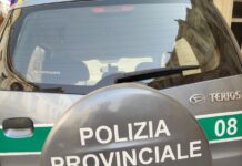 Autovelox: mappa dei controlli di Dicembre Piano di prevenzione con autovelox, telelaser e postazioni fisse: i calendari del mese di dicembre