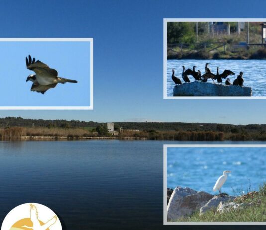 De Franco si presenta alla guida del Parco di Ugento Nuovo direttore per il Parco Litorale di Ugento.