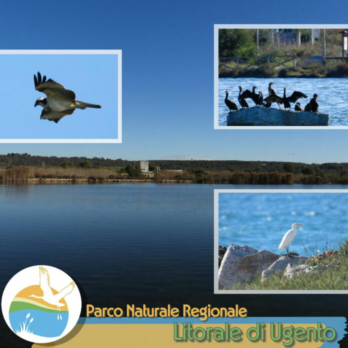 Nuovo direttore per il Parco Litorale di Ugento.