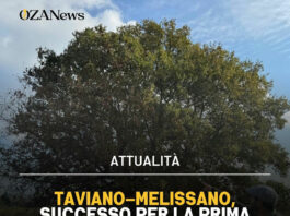 Via Grande Quercia: recupero strade rurali Salento