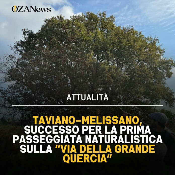 Via Grande Quercia: recupero strade rurali Salento