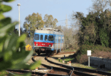 Ugento: sicurezza sulla linea ferroviaria Ugento emette ordinanza urgente per prevenire caduta alberi sulla linea ferroviaria Novoli-Gagliano. Misure e sanzioni previste.