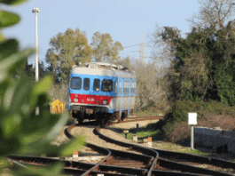 Ugento emette ordinanza urgente per prevenire caduta alberi sulla linea ferroviaria Novoli-Gagliano. Misure e sanzioni previste.