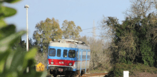 Ugento: sicurezza sulla linea ferroviaria Ugento emette ordinanza urgente per prevenire caduta alberi sulla linea ferroviaria Novoli-Gagliano. Misure e sanzioni previste.