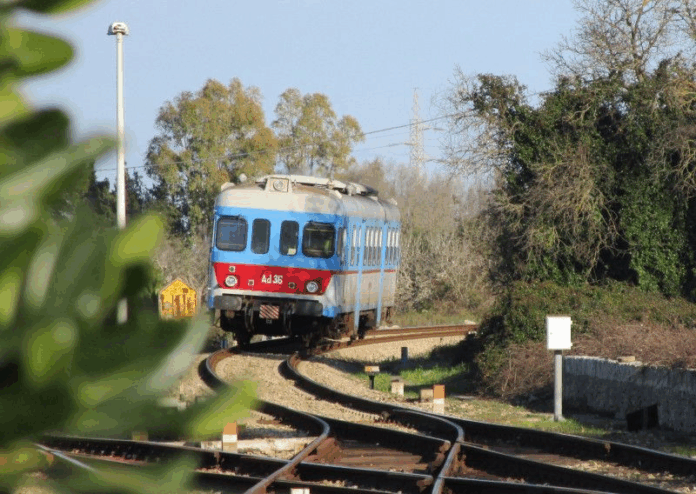 Ugento emette ordinanza urgente per prevenire caduta alberi sulla linea ferroviaria Novoli-Gagliano. Misure e sanzioni previste.