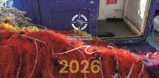 Calendario 2026 AMP Porto Cesareo: presentazione a Lecce Calendario 2026 dell’Area Marina Protetta di Porto Cesareo: in Provincia la presentazione