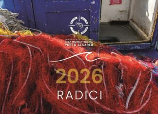Calendario 2026 AMP Porto Cesareo: presentazione a Lecce Calendario 2026 dell’Area Marina Protetta di Porto Cesareo: in Provincia la presentazione