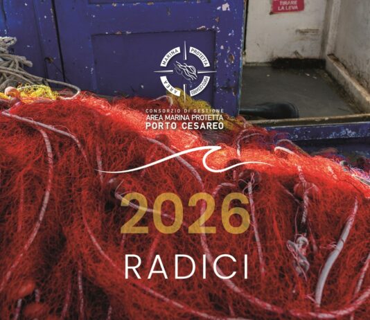Calendario 2026 AMP Porto Cesareo: presentazione a Lecce Calendario 2026 dell’Area Marina Protetta di Porto Cesareo: in Provincia la presentazione