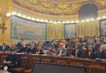 Olio EVO: più controlli per i produttori