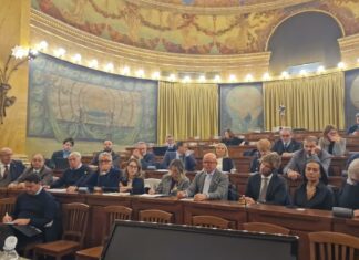 Olio EVO: più controlli per i produttori