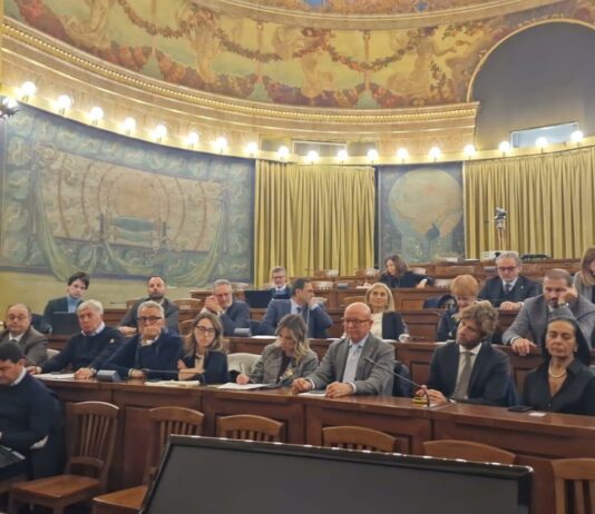 Olio EVO: più controlli per i produttori