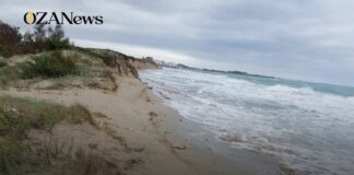 Erosione costiera a Torre Mozza, il Comitato civico chiede un tavolo tecnico urgente al Comune di Ugento