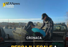 Pesca illegale Gallipoli: fermato cinquantenne con ricci e pesce Pesca illegale Gallipoli: fermato con ricci e pesce