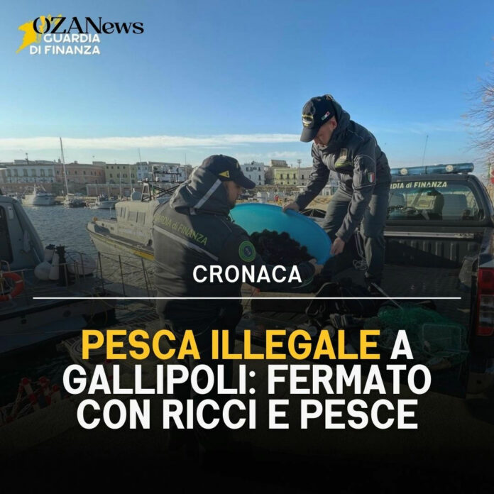 Pesca illegale Gallipoli: fermato con ricci e pesce