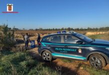 Sequestri e denunce per traffico illecito di rifiuti nel Salento Polizia Provinciale: accertate gestioni illecite di rifiuti sul territorio provinciale