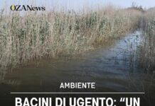 Bacini di Ugento: “Un ecosistema che si sta spegnendo”