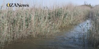 Bacini di Ugento: “Un ecosistema che si sta spegnendo”