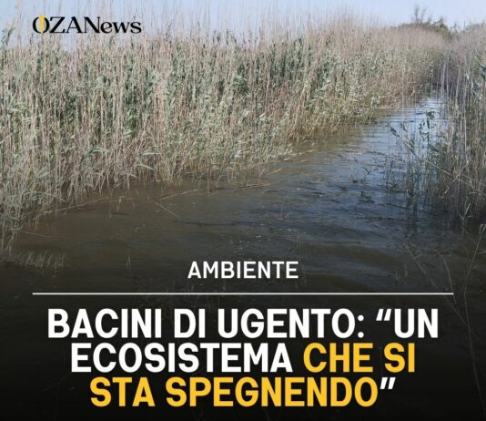 Bacini di Ugento: “Un ecosistema che si sta spegnendo”