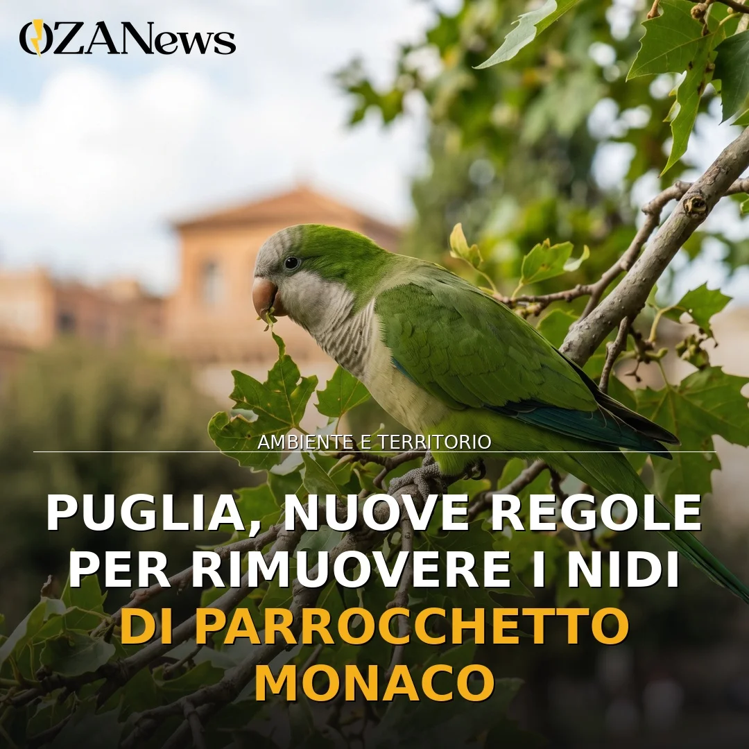 La Regione Puglia e il Parrocchetto Monaco