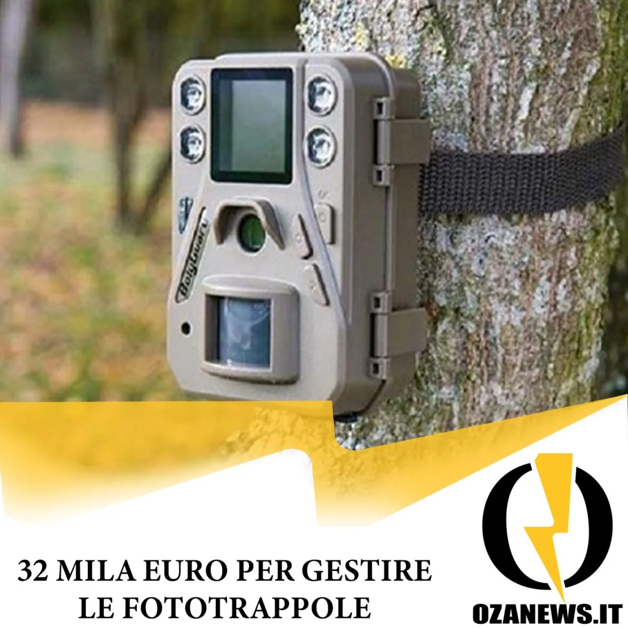 31 mila euro pubblici per la gestione di 6 foto trappole fino a giugno 2024