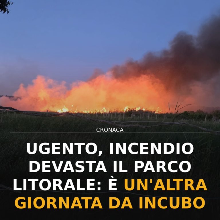 Ugento, incendio devasta il parco litorale: è un'altra giornata da incubo
