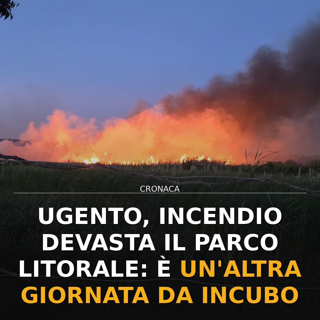 Ugento, incendio devasta il parco litorale: è un’altra giornata da incubo