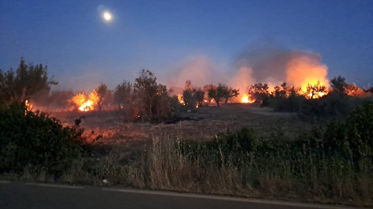Foto allegata