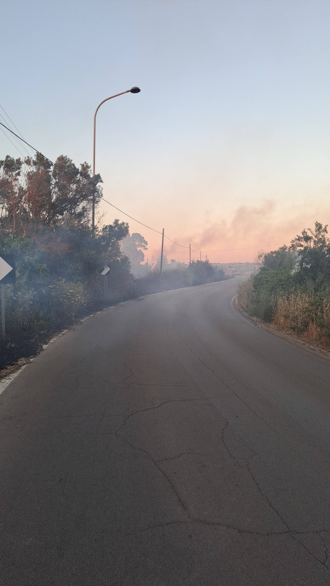 Foto allegata