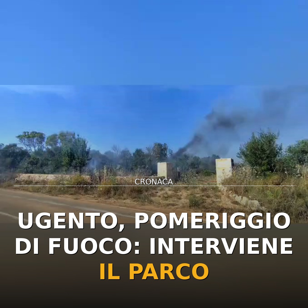 Ugento, pomeriggio di fuoco: interviene il parco