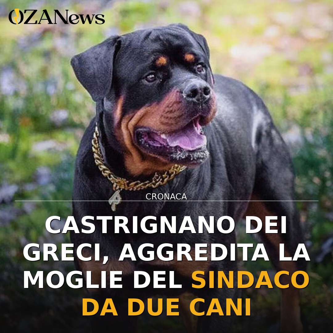 Castrignano dei Greci, aggredita la moglie del sindaco da due cani
