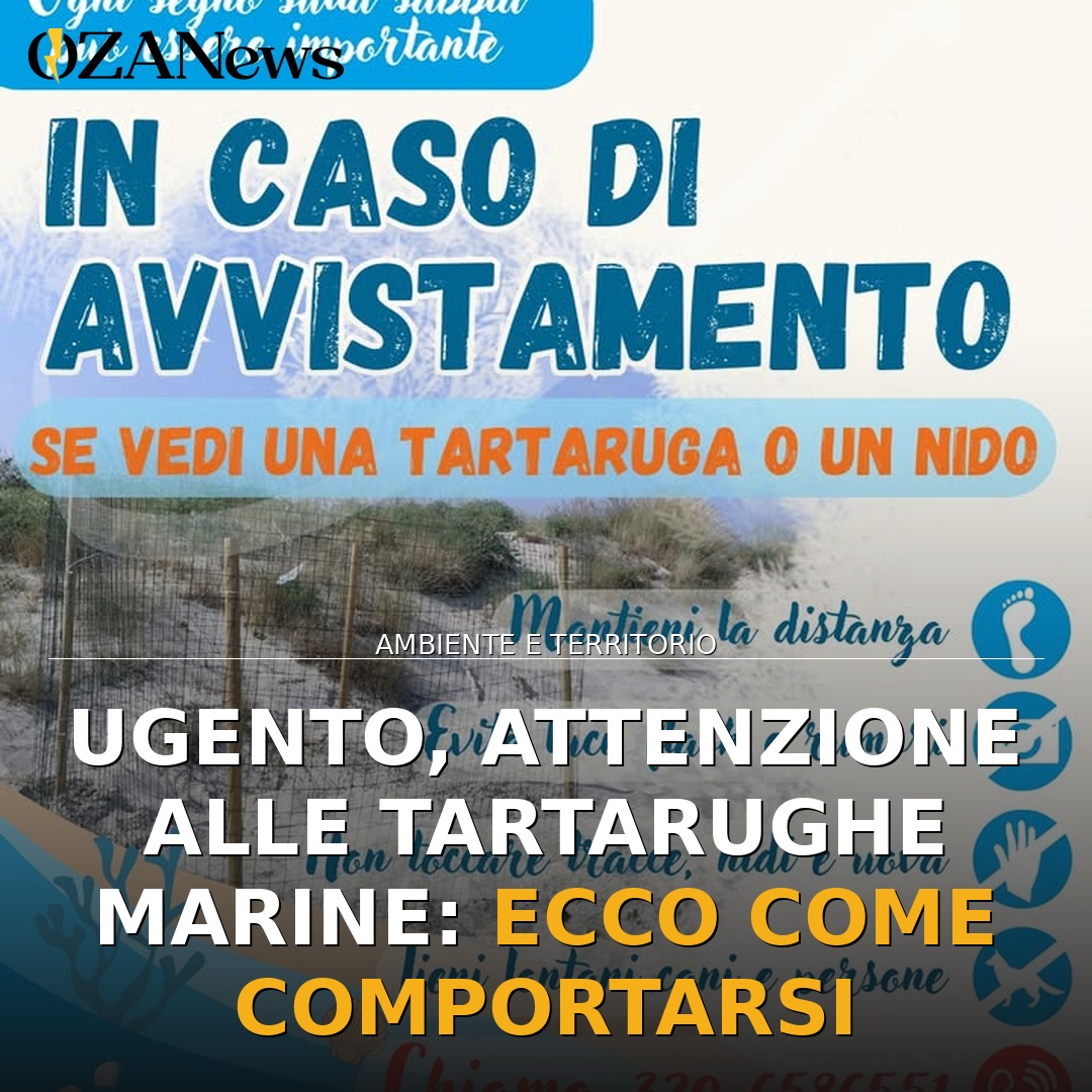 Ugento, attenzione alle tartarughe marine: ecco come comportarsi