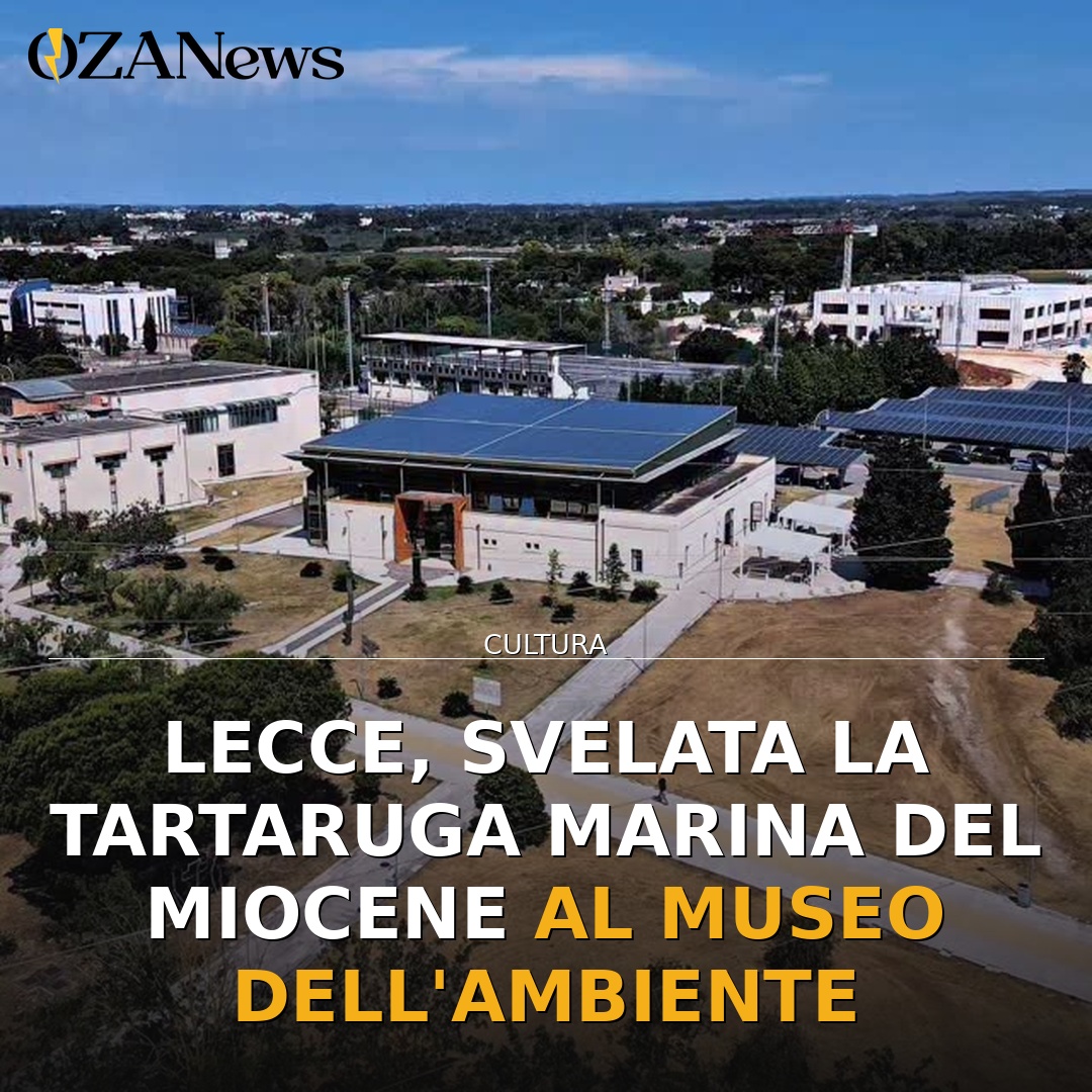 Lecce, svelata la tartaruga marina del Miocene al Museo dell’Ambiente
