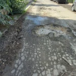 Immagine 1: Crateri sulla Strada dei Villaggi a Torre San Giovanni - Ugento