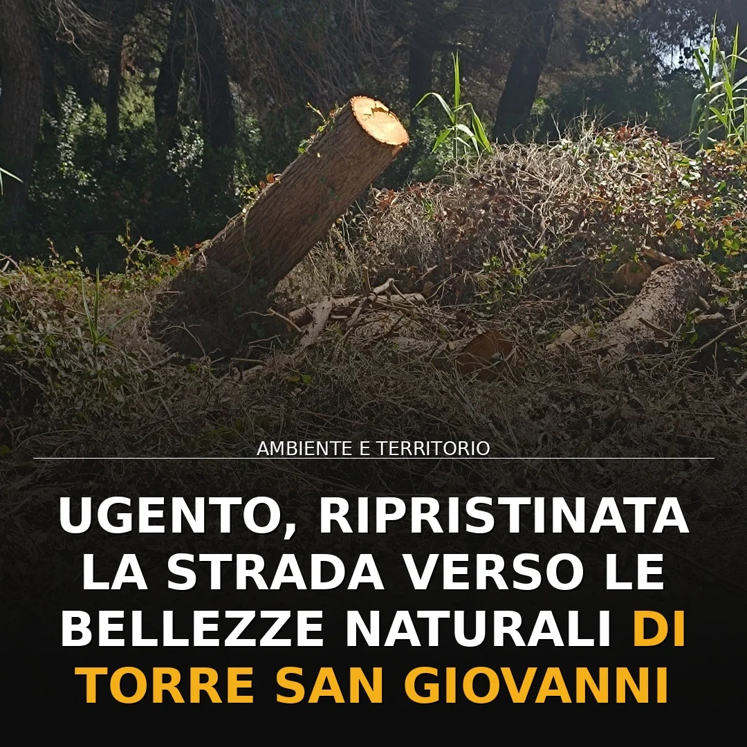 Riapertura della strada nel Parco Litorale di Ugento