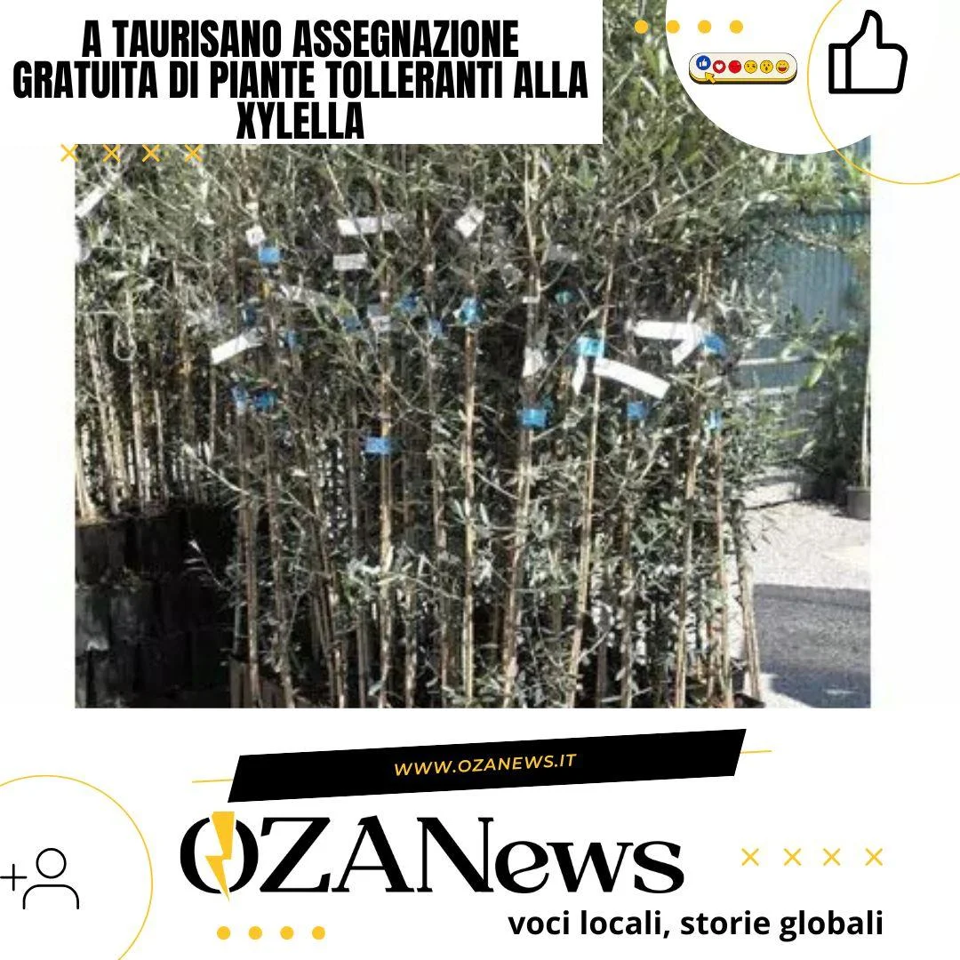A Taurisano assegnazione gratuita di piante tolleranti alla Xylella