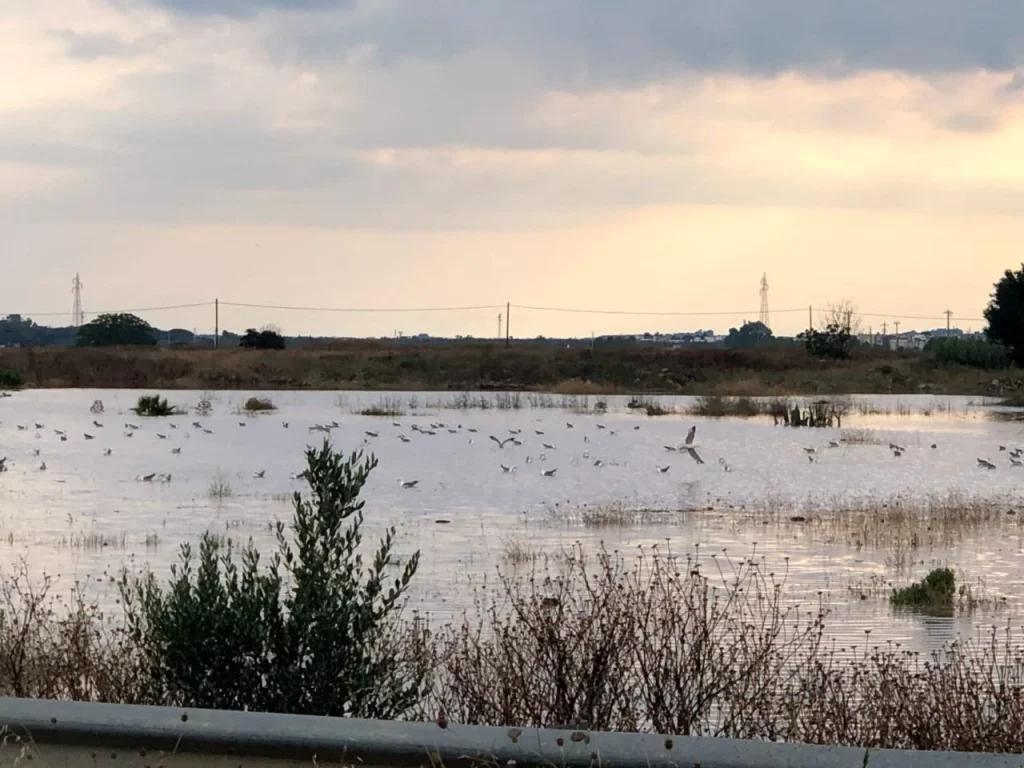 Immagine 2: Piccoli grandi eroi: gli imprenditori a Ugento - Casarano