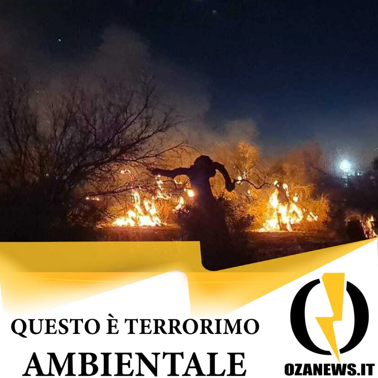 Il fuoco che brucia. Questo è terrorismo ambientale.