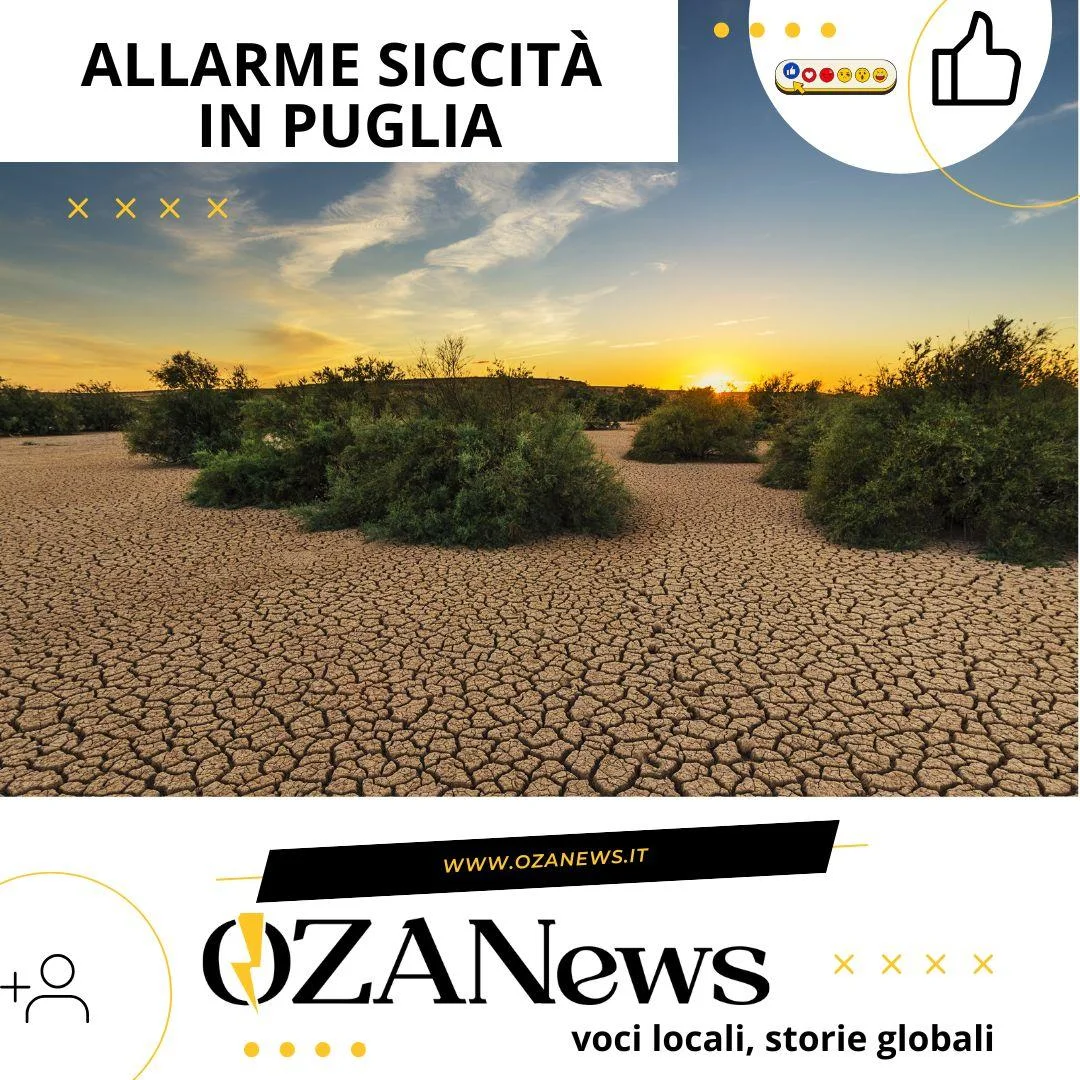 allarme siccita in puglia