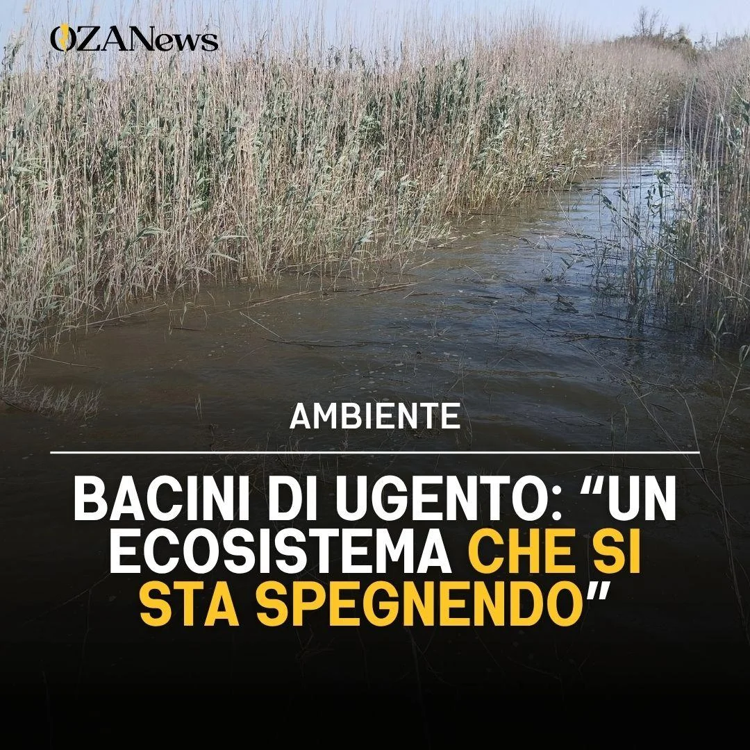Allerta per il Parco Litorale di Ugento