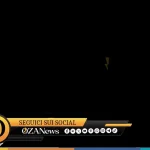 banner web 36 report