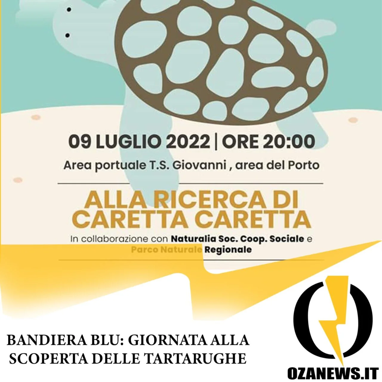 Caretta caretta: 9 luglio l’evento bandiera blu