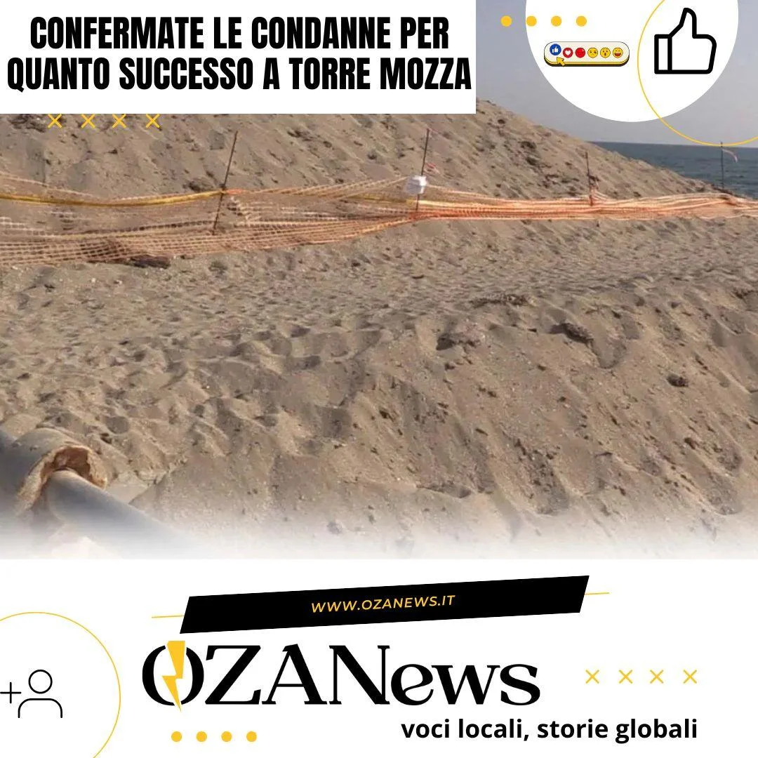 Cassazione: confermate le condanne per il deposito incontrollato di posidonia a Ugento