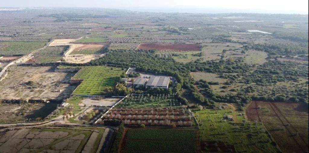 Immagine 5: Impianto di Riciclaggio a Ugento: Destinato Solo alla Carta - Puglia